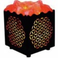 lampada sale fiore vita